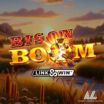 Bison Boom