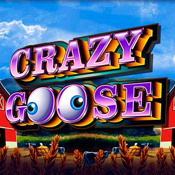 Crazy Goose
